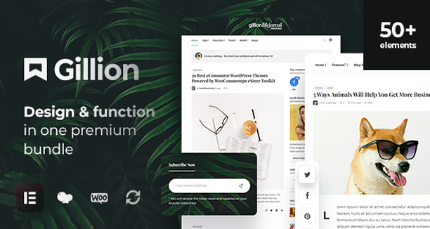 Gillion | Multi-Concept Blog/Magazine & Shop WordPress Theme v4.14